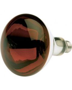Norman - R40 Incandescent Reflector Lamp - 250W - PFA-250R40/10 [NMN]