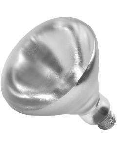 Norman - R40 Incandescent Reflector Lamp - 250W - PFA-250R40/1 [NMN]
