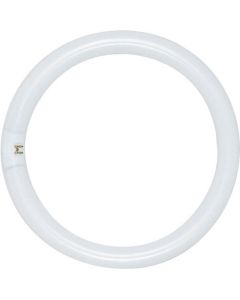 20 Watt T9 Circline Fluorescent Lamp - G10Q (4 Pin) - Satco - FC6T9/CW  [S6509]