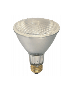 75 Watt PAR30 Long Neck Halogen Lamp - Warm White (2700K) - E26 (Medium) - Damar - 75PAR30QFL/LN /40/SS  [20369A]