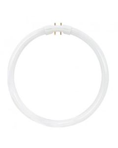 22 Watt T5 Circline Fluorescent Lamp - Neutral White (3500K) - 2GX13 (4 Pin) - Satco - FC22T5/835  [S8156]