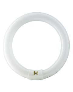 22 Watt T9 Circline Fluorescent Lamp - Cool White (4100K) - G10Q (4 Pin) - Philips - FC8T9/UTILITY/22W  [391169]