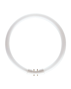 22 Watt T5 Circline Fluorescent Lamp - Warm White (3000K) - 2GX13 (4 Pin) - Philips - TL5C 22W830 1CT/10  [166017]