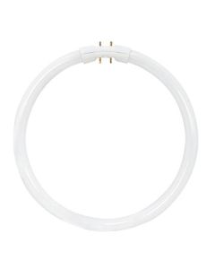 22 Watt T5 Circline Fluorescent Lamp - Cool White (4100K) - 2GX13 (4 Pin) - Satco - FC22T5/841  [S8157]