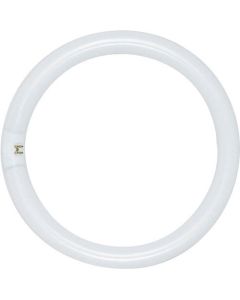20 Watt T9 Circline Fluorescent Lamp - Warm White (3000K) - G10Q (4 Pin) - Satco - FC6T9/WW  [S2950]