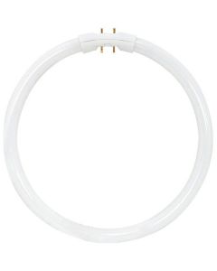 22 Watt T5 Circline Lamp - Warm White (3000K) - 2GX13 (4 Pin) - Satco - FPC22/830  [S2955]