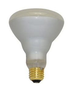 100 Watt Mercury Vapor Lamp - Daylight (5700K) - E26 (Medium) - EYE - HR100W/R30